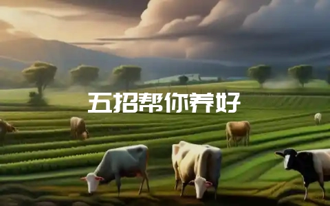 五招帮你养好貂-会东网