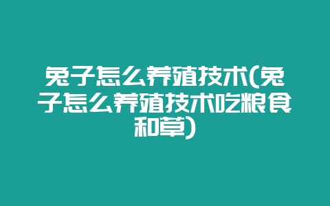 兔子怎么养殖技术(兔子怎么养殖技术吃粮食和草)-会东网