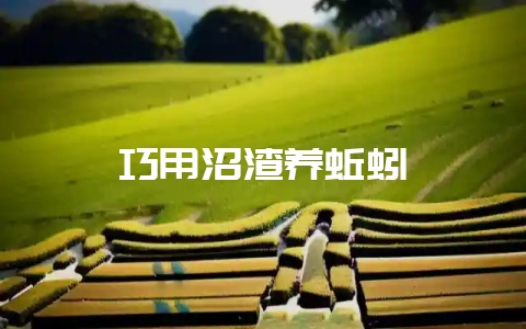 巧用沼渣养蚯蚓-会东网