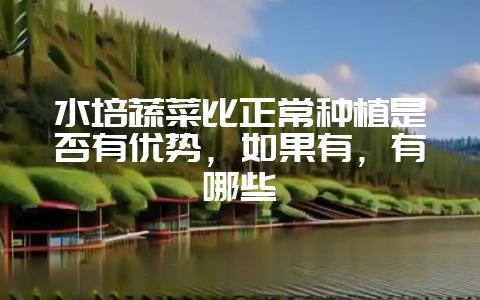 水培蔬菜比正常种植是否有优势，如果有，有哪些-会东网