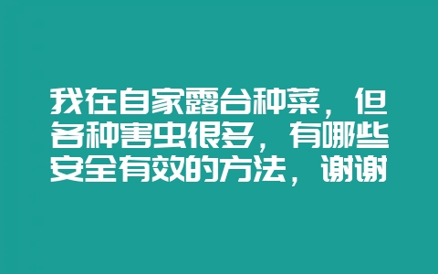 我在自家露台种菜，但各种害虫很多，有哪些安全有效的方法，谢谢？-会东网
