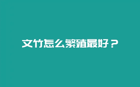 文竹怎么繁殖最好?-会东网