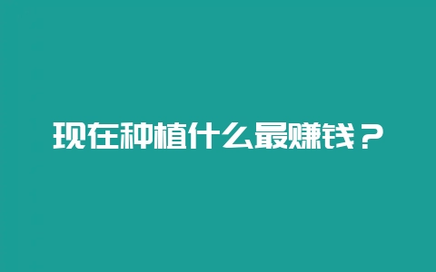 现在种植什么最赚钱？-会东网