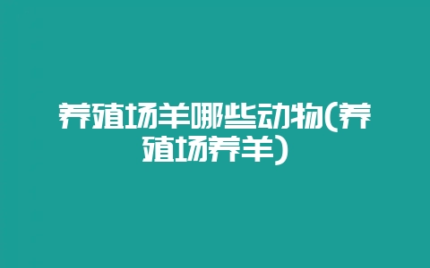 养殖场羊哪些动物(养殖场养羊)-会东网