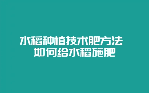 水稻种植技术肥方法 如何给水稻施肥-会东网