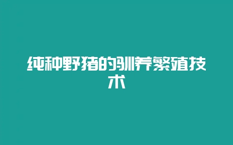 纯种野猪的驯养繁殖技术-会东网