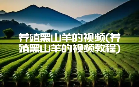 养殖黑山羊的视频(养殖黑山羊的视频教程)-会东网