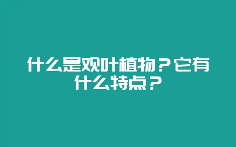 什么是观叶植物?它有什么特点?-会东网