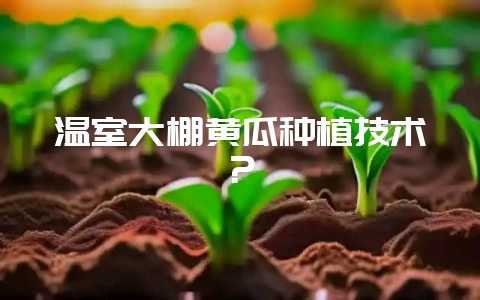 温室大棚黄瓜种植技术？-会东网
