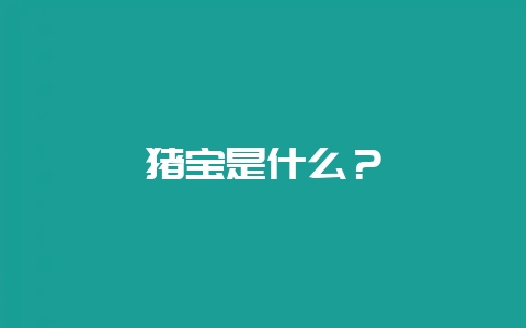 猪宝是什么？-会东网