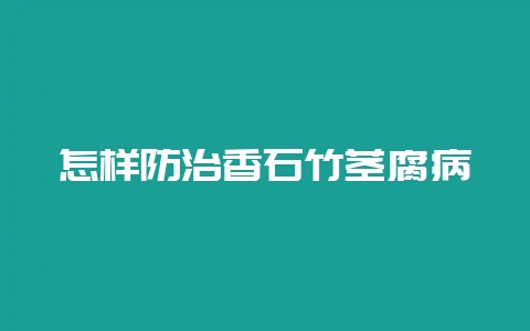 怎样防治香石竹茎腐病-会东网