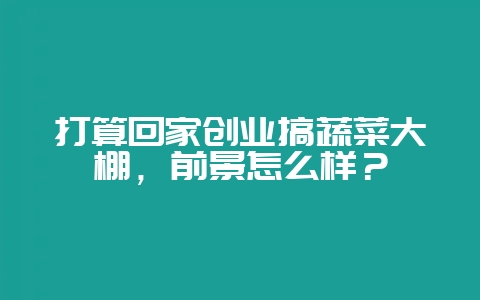 打算回家创业搞蔬菜大棚，前景怎么样？-会东网