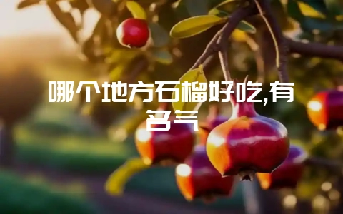 哪个地方石榴好吃,有名气-会东网