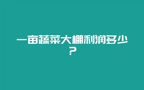 一亩蔬菜大棚利润多少?-会东网