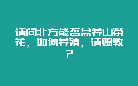 请问北方能否盆养山茶花，如何养殖，请赐教？-会东网