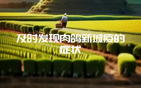 及时发现肉鸽新城疫的症状-会东网