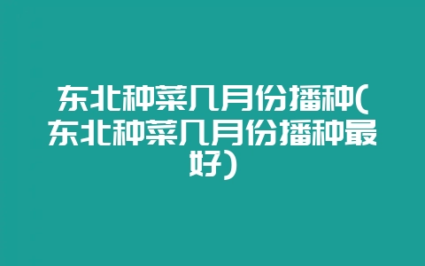 东北种菜几月份播种(东北种菜几月份播种最好)-会东网