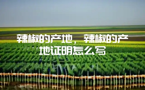 辣椒的产地，辣椒的产地证明怎么写-会东网