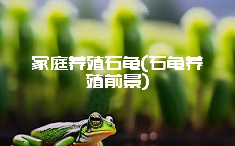 家庭养殖石龟(石龟养殖前景)-会东网