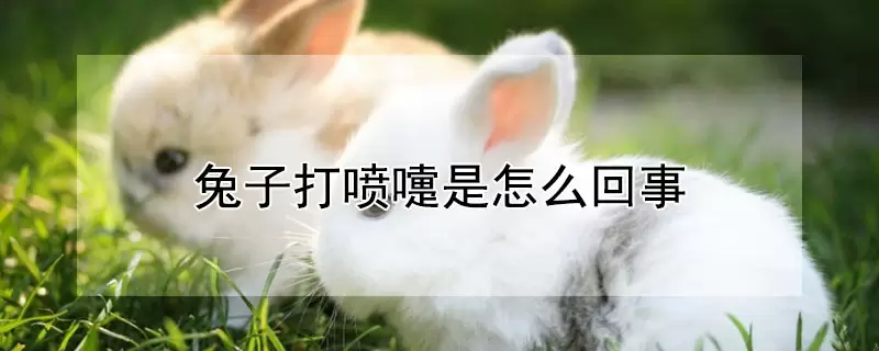 兔子打喷嚏是怎么回事-会东网