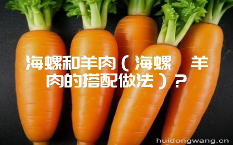 海螺和羊肉(海螺炖羊肉的搭配做法)?插图 海螺和羊肉(海螺炖羊肉的搭配做法)?插图