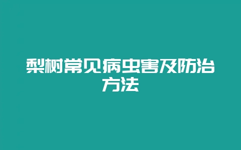 梨树常见病虫害及防治方法-会东网