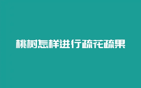 桃树怎样进行疏花疏果-会东网