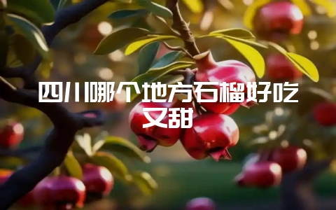 四川哪个地方石榴好吃又甜-会东网