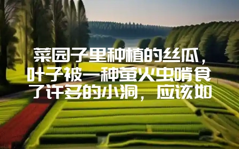 菜园子里种植的丝瓜，叶子被一种萤火虫啃食了许多的小洞，应该如何防治？-会东网
