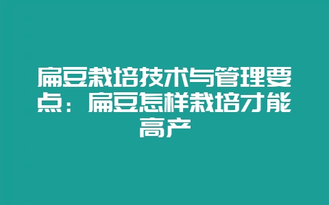 扁豆栽培技术与管理要点:扁豆怎样栽培才能高产-会东网