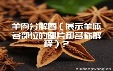 羊肉分解图(展示羊体各部位的图片和名称解释)?插图 羊肉分解图(展示羊体各部位的图片和名称解释)?插图