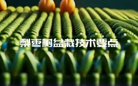 梨枣树盆栽技术要点-会东网