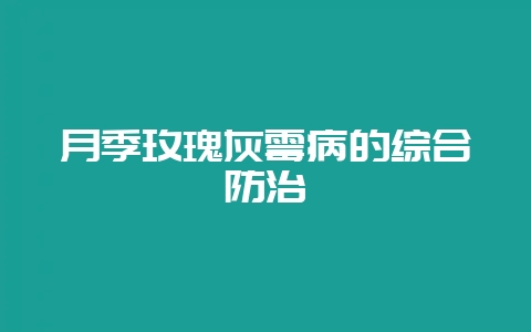 月季玫瑰灰霉病的综合防治-会东网