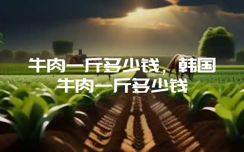 牛肉一斤多少钱，韩国牛肉一斤多少钱-会东网