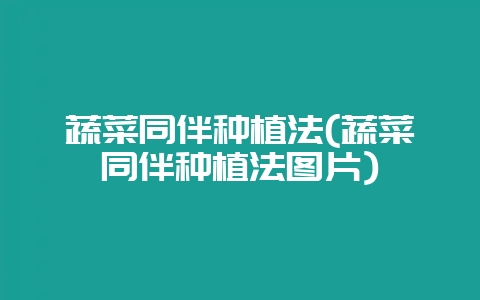 蔬菜同伴种植法(蔬菜同伴种植法图片)-会东网