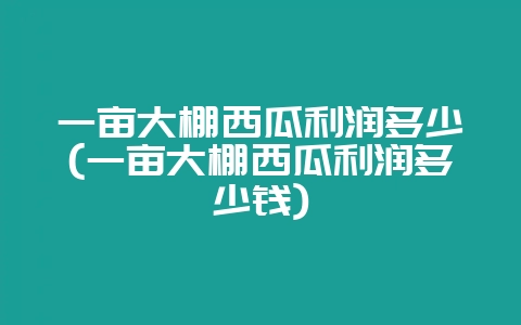 一亩大棚西瓜利润多少(一亩大棚西瓜利润多少钱)-会东网
