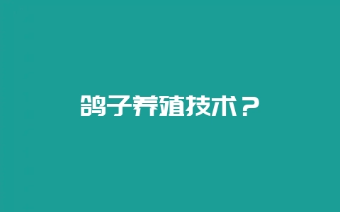 鸽子养殖技术？-会东网