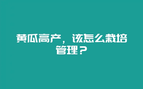 黄瓜高产，该怎么栽培管理？-会东网