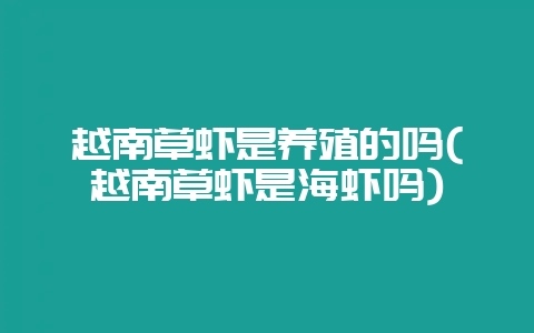越南草虾是养殖的吗(越南草虾是海虾吗)-会东网