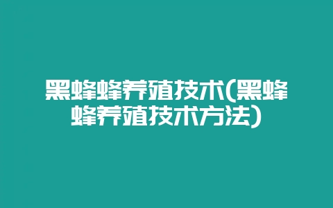 黑蜂蜂养殖技术(黑蜂蜂养殖技术方法)-会东网