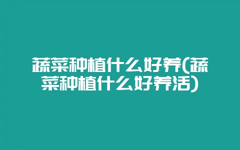 蔬菜种植什么好养(蔬菜种植什么好养活)-会东网