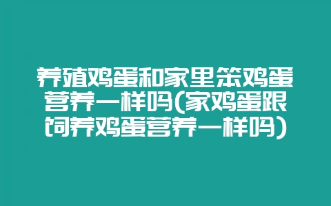 养殖鸡蛋和家里笨鸡蛋营养一样吗(家鸡蛋跟饲养鸡蛋营养一样吗)-会东网