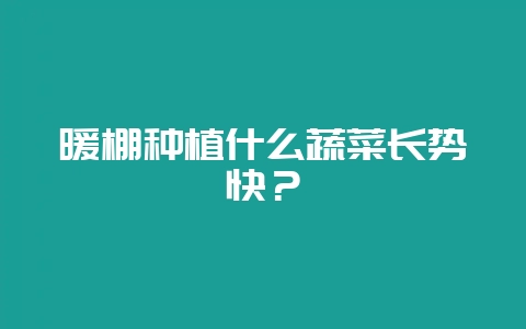 暖棚种植什么蔬菜长势快？-会东网