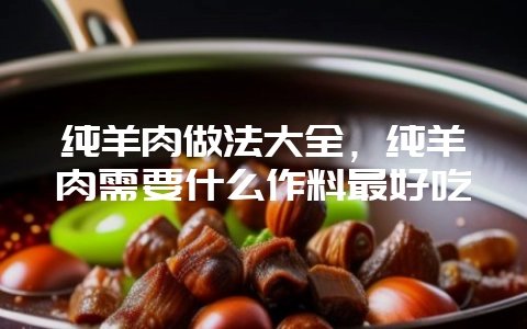 纯羊肉做法大全,纯羊肉需要什么作料最好吃插图 纯羊肉做法大全,纯羊肉需要什么作料最好吃插图