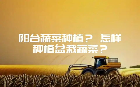 阳台蔬菜种植？ 怎样种植盆栽蔬菜？-会东网