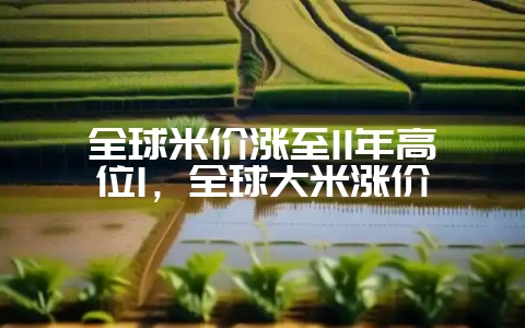 全球米价涨至11年高位1，全球大米涨价-会东网