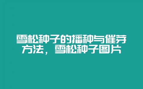雪松种子的播种与催芽方法，雪松种子图片-会东网