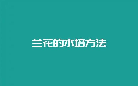 兰花的水培方法-会东网