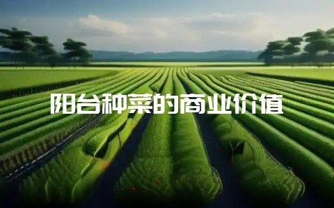 阳台种菜的商业价值-会东网