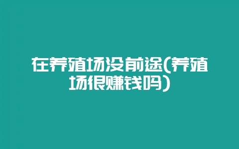 在养殖场没前途(养殖场很赚钱吗)-会东网